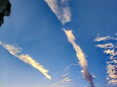 -白云山风景名胜区