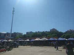-中环花鸟鱼虫市场