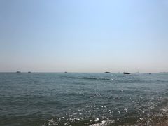 -日照海滨国家森林公园