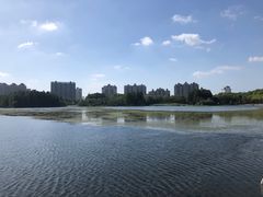 -上海山野camping·户外天幕烧烤·团建拓展营地