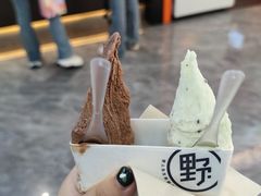 -野人先生现做冰淇淋(西安赛格店)