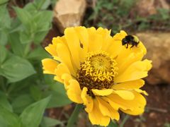 -名花谷生态庄园