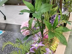 -Aqua Oasis 水天堂(常熟永旺店)