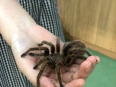 -藦茜花园宠物主题亲子互动体验馆(国顺东路店)