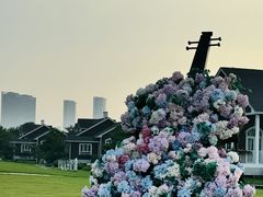 -日照世帆赛基地