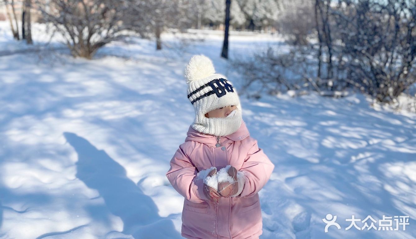 冬天来东北玩雪