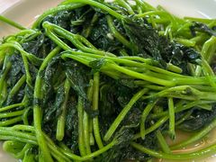 -麻奢鸽农庄·梦里水乡