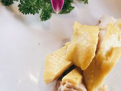 -汤和好天气 粤菜小馆(鸳鸯店)