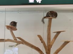 -宁波九龙湖开元度假村