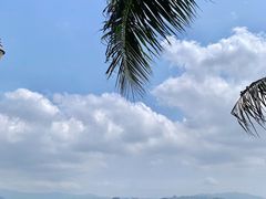 -深圳湾公园(南山区)