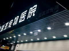 -瑞派动物医院·猫专科·至诚(江南中分院)