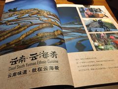 云海肴·云南菜-云海肴·汽锅鸡·云南菜(天津国金汇店)