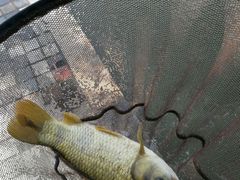 -酷鱼垂钓CLUB(朝阳区博大路店 )