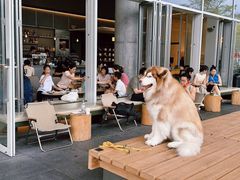 -SAANCI山池咖啡(海上世界文化艺术中心店)