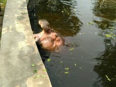 android_upload_pic-西安秦岭野生动物园