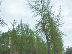 -四川大学(望江校区)