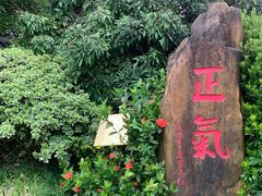 -广州神农草堂中医药博物馆