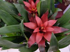 -大润发(梅兰东路店)