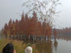 -白鹭湾湿地公园