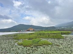 -腾冲北海湿地