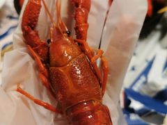 -松哥油焖大虾(皇岗一店)
