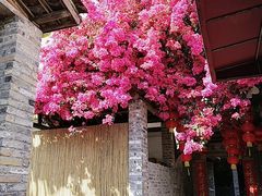 -德云居