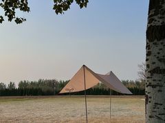 -汉长安城未央宫国家考古遗址公园