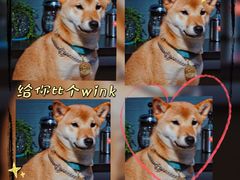 -柚下次·关东煮
