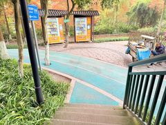 -重庆彩云湖湿地公园