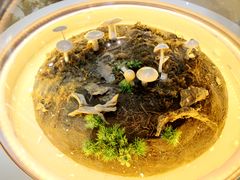 -青藏高原自然博物馆