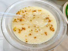 桂花豆花-欧记大排档·景德菜(上海首店)