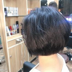 -臻美风剪云