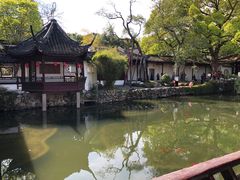 -上海醉白池公园
