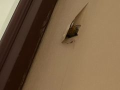 -昆山隆祺国际饭店