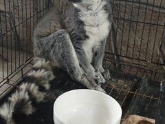-洛阳龙门海洋馆