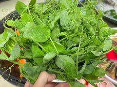 -赵美丽·重庆社区火锅·直营店(火车东站·中豪国际店)