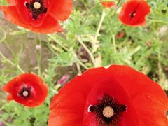 -驿舍·民國老营房院子私房菜(科学会堂店)