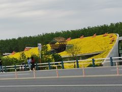 -合肥滨湖国家森林公园