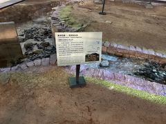 -南越王博物院(王宫展区)