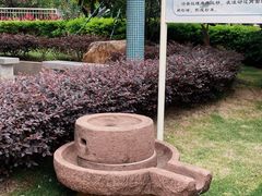 -荔湾区儿童公园