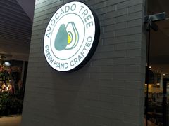-油梨树 AVOCADO TREE(亮马桥店)