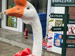 -山河屯铁锅炖(哈西站店)