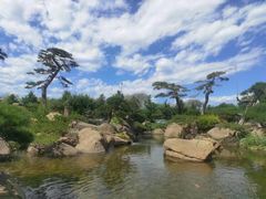 -罗红摄影艺术馆