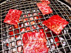 -本寻烧肉酒场(双井店)