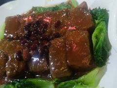-东鸽皇(奥园·中环广场店)