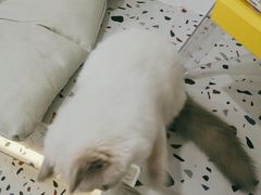 -FULL MOON满月咖啡