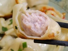 鲜肉煎饺-无名氏宵夜小摊(祝家三姐妹馄饨店)