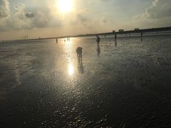 -南汇嘴观海公园