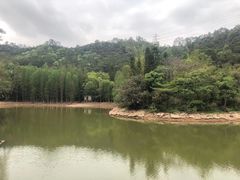 -滴水岩森林公园