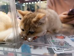 -万达广场(北京槐房店)